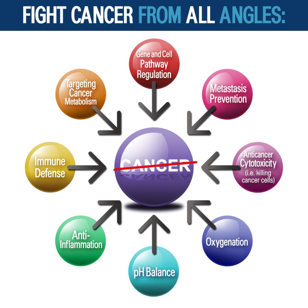 Diagram showing the different angles from which you can help your body fight cancer (targeting the metabolism of cancer cells, regulating genes and cells, preventing metastasis, anticancer cytotoxicity, oxygenation, pH balance, anti-inflammation and immune defense).
