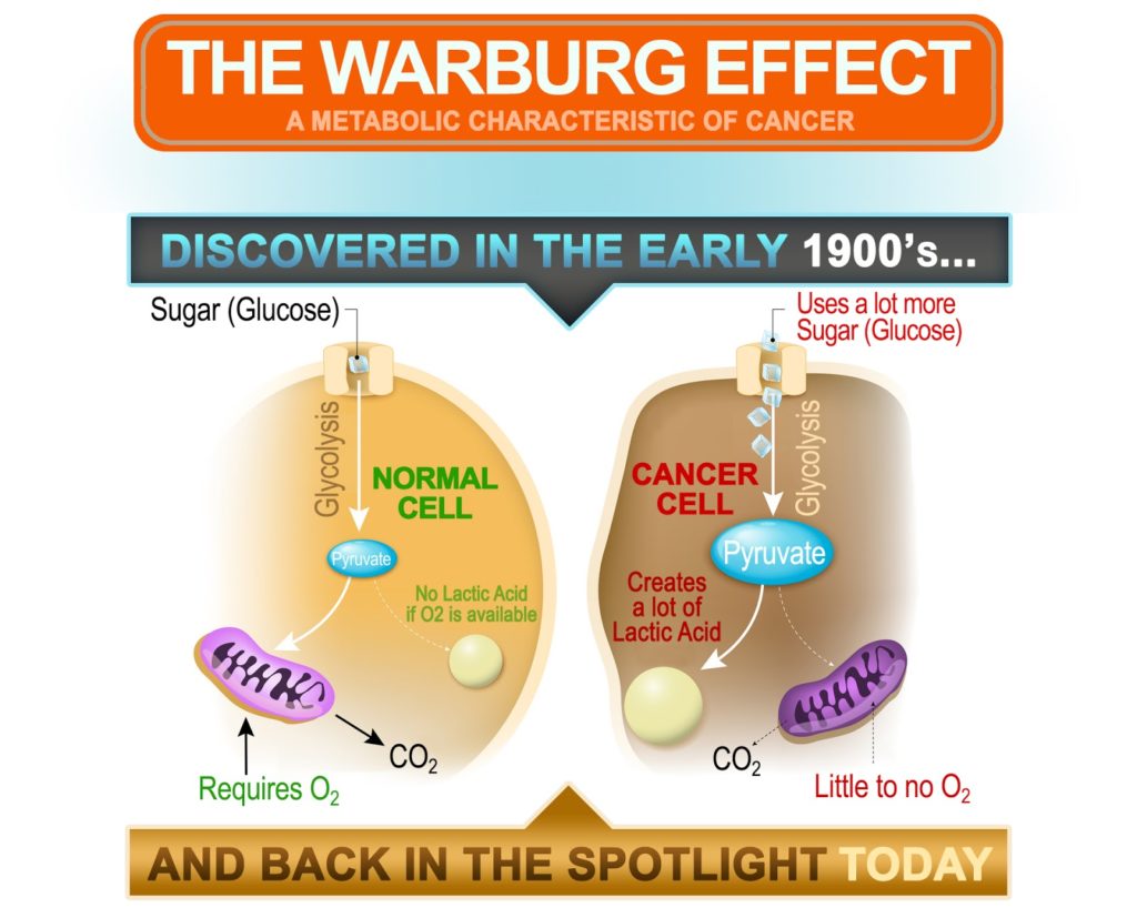 A diagram showing the differences in normal cells, compared to cancer cells, in terms of how they metabolize sugar. 