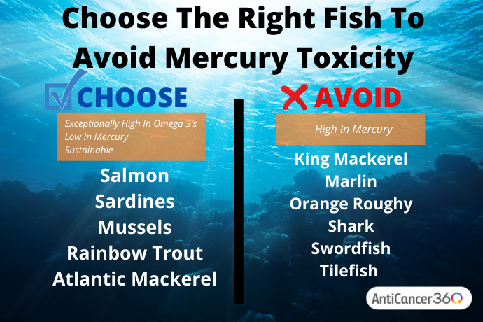 what kind of fish to choose vs avoid for mercury toxicity