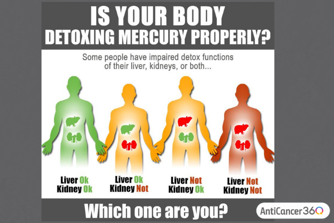 chart showing that some people have impaired detox functions of their liver, kidneys, or both (mercury)