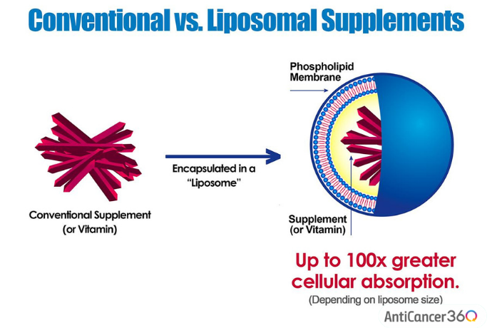 conventional vs liposomal supplements 