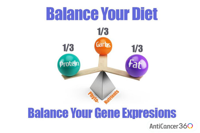 balancing protein, carbs, and fat