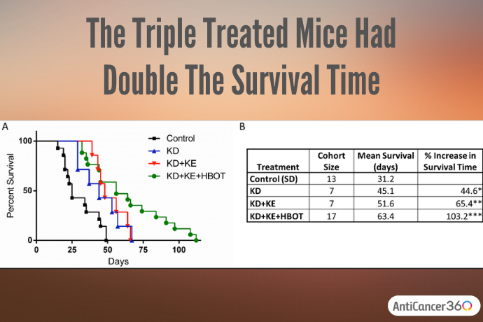 graph showing the triple treated mice had double the survival time