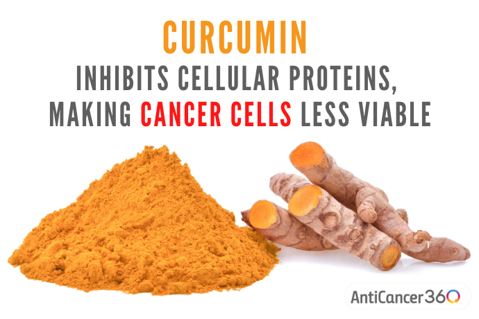 curcumin ground up and in whole form