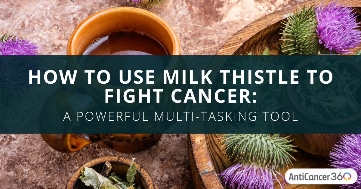 How to Use Milk Thistle to Fight Cancer A Powerful MultiTasking Tool