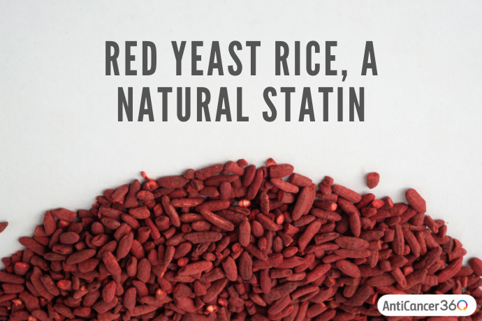 red yeast rice