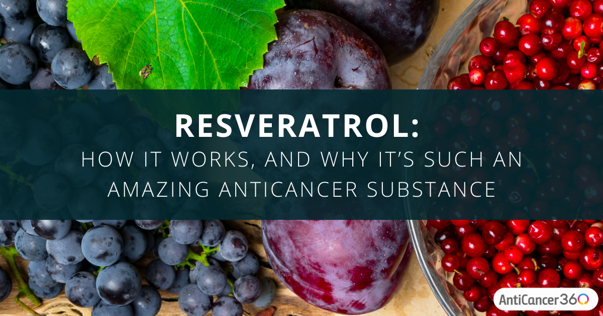 Resveratrol How It Works, And Why It’s Such An Amazing AntiCancer