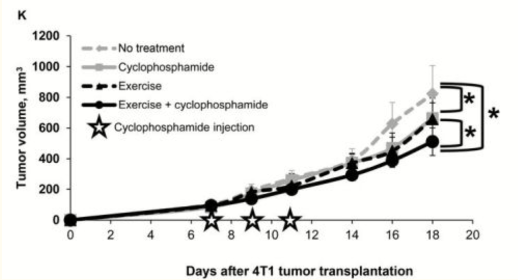 graph showing tumor volume vs days after tumor transplantation 