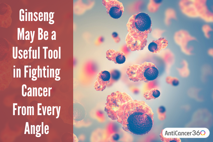 cancer cells