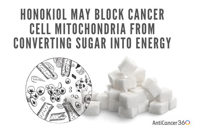 Sugar cubes and cell mitochondria