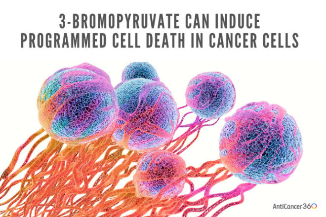 Unveiling the Potential Benefits of 3-Bromopyruvate in Cancer Research