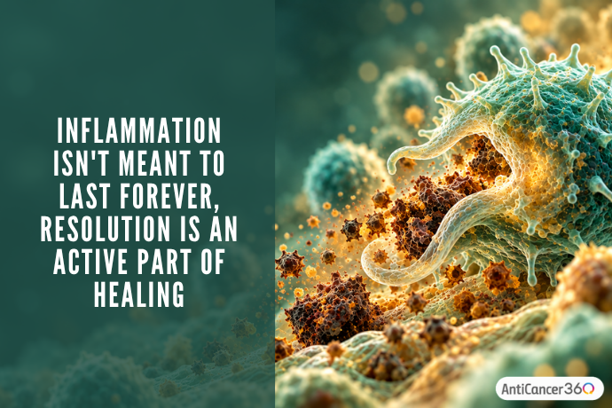 Microscopic illustration of a large teal cell surrounded by orange inflammatory particles and cellular debris. A dark green panel displays the text, “Inflammation isn't meant to last forever, resolution is an active part of healing” 