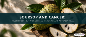 Fresh soursop fruit and leaves arranged in natural light, featured in an article examining soursop and cancer research.