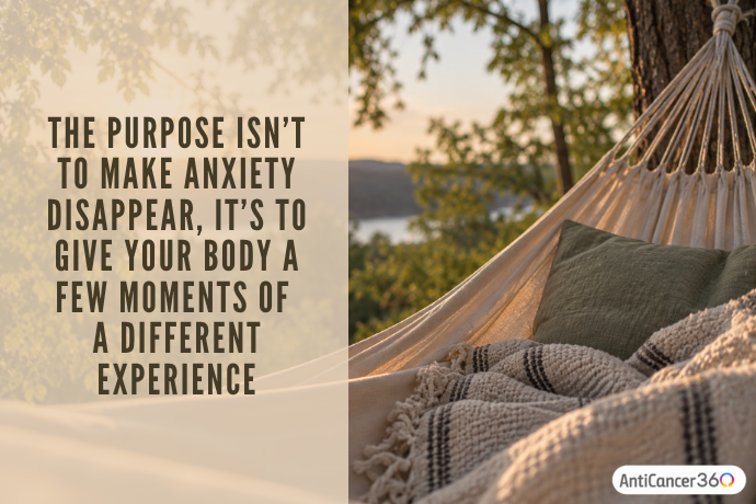 Quote about giving the body moments of a different experience rather than trying to make anxiety disappear, displayed beside a hammock in nature.