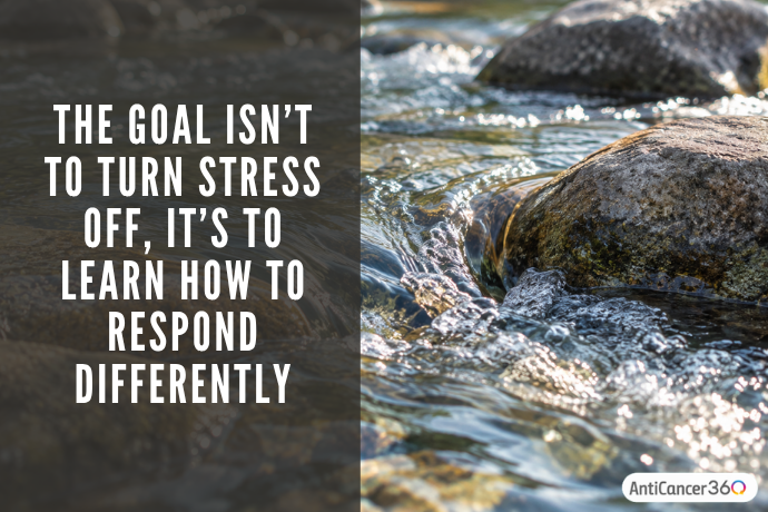 The goal isn’t to turn stress off, but to learn how to respond differently, displayed beside water flowing around river rocks.
